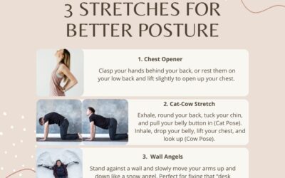 Top 3 Stretches for Better Posture! 